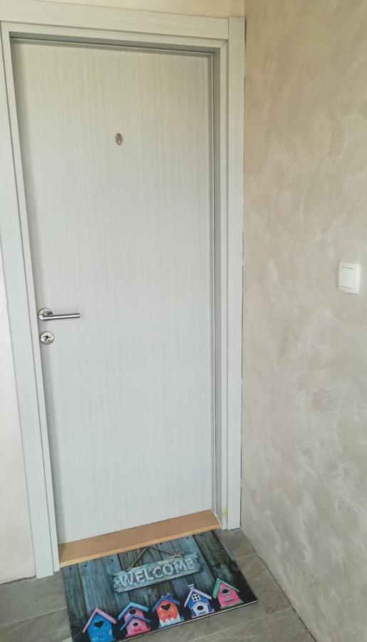 Zen Apartmani Novi Sad Exteriör bild