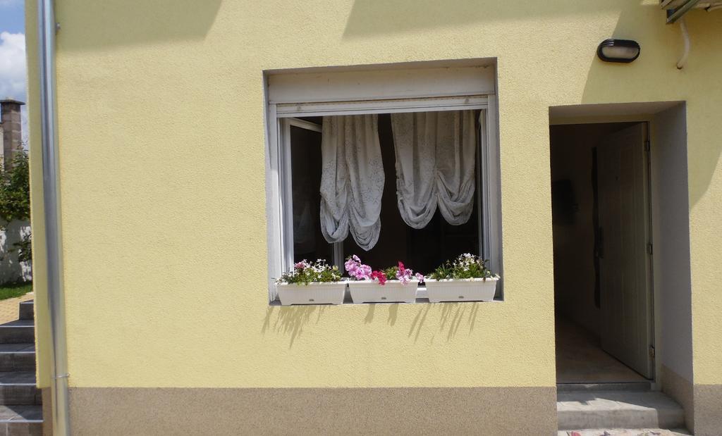 Zen Apartmani Novi Sad Exteriör bild
