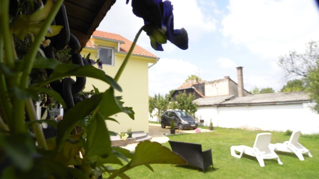 Zen Apartmani Novi Sad Exteriör bild